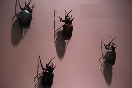 5231 2拷貝.jpg 5231 2拷貝.jpg